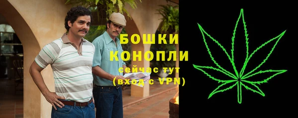 трава Балахна