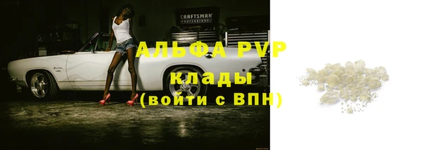 трава Балахна