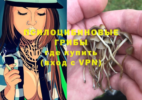 хмурый Балабаново