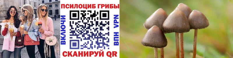 сколько стоит  Городец  Галлюциногенные грибы GOLDEN TEACHER 
